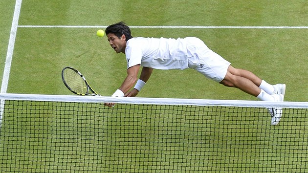 RYBIKA. panlsk tenista Fernando Verdacso ske po mku ve tvrtfinle Wimbledonu.