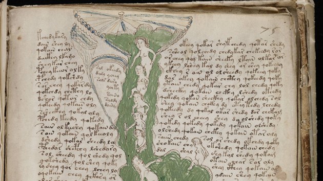 Stránka z "biologického" oddílu Voynichova rukopisu. Část je plná drobných ilustrací s nahými postavami prostupujícími soustavou jakýchsi trubek. 