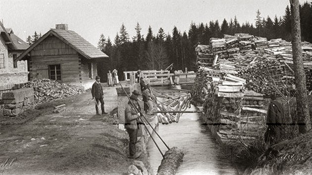 Historický snímek z plavení dřeva v šumavském  Schwarzenberském kanálu. 