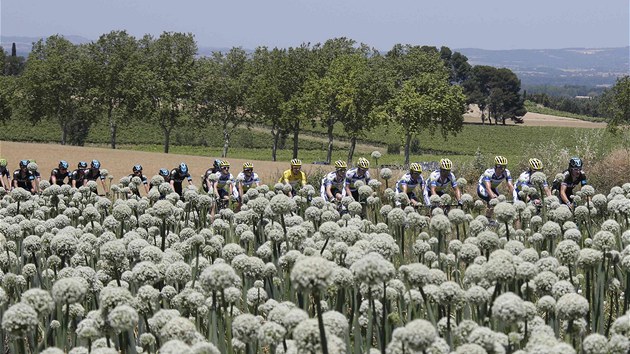 MALEBN PRODA. Cyklist na Tour de France ped stoupnm do Pyrenej.