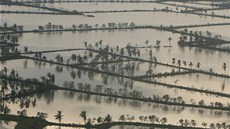 Cyklonem Nargis poniená delta Iravadi v Barm (22. kvtna 2008)