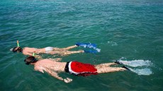 V zahranií kadoron zemou tyi stovky ech (ilustraní snímek)