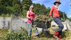 Dobrovolníci z Německa a Ukrajiny uklízejí židovský hřbitov v Krnově.