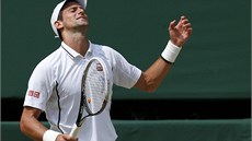 TAKHLE NE. Ne vechny údery ve wimbledonském semifinále Novaka Djokovie