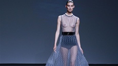 Dior Haute Couture kolekce podzim - zima 2013/2014
