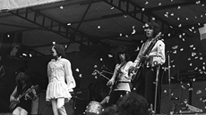 Rolling Stones v roce 1969 v Hyde Parku vypoutjí bílé motýly na poest