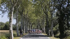 OSMÁ ETAPA. Cyklisté na Tour de France se poprvé vydali do pyrenejských kopc....