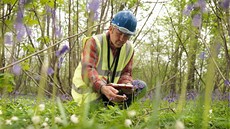Katastr nemovitostí