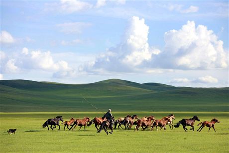 Globální oteplování a vydatnjí det prý pisply k rychlé expanzi Mongol ve 13. století.