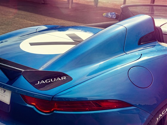 Jaguar Project 7