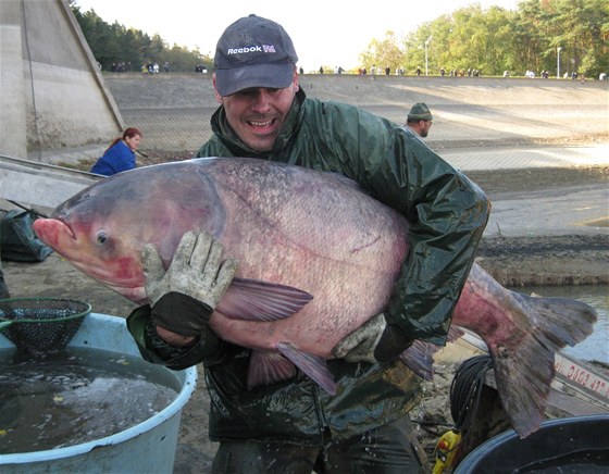 Tolstolobik: 120 cm a 41 kg