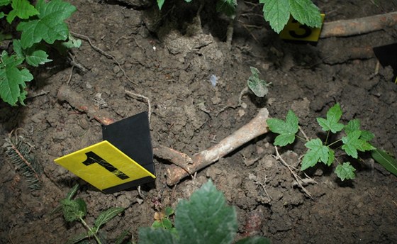 Část ostatků zřejmě sovětského vojáka nalezených na vrchu Puntík u Nového