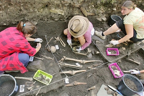 Letní archeologická kola se v Netolicích koná u od roku 2006 a úastní se jí