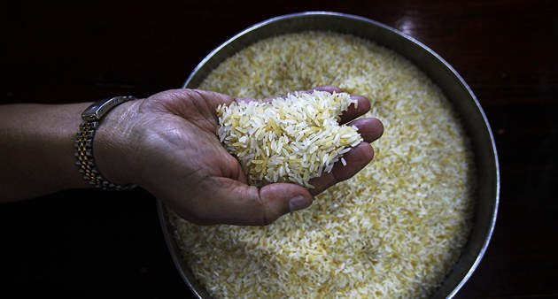 Japonsko končí s termínovými kontrakty na rýži. Obchodovat přestane po 300 letech
