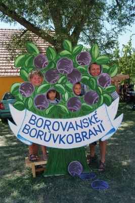 borvkobran