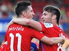 PLZESKÁ RADOST  Plzeský záloník Milan Petrela pijímá gratulace po gólu v