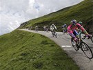 SJEZD. Cyklisté bhem 19. etapy  Tour de France. 