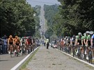 Závodnický peloton bhem 12. etapy Tour de France.