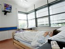 nemocnin pokoj (ilustran snmek)
