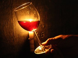 Víno od vinaře Pavla Hrabkovského z Velkých Žernosek