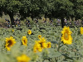 Cyklisté bhem 15. etapy Tour de France. Ve lutém lídr Chris Froome.