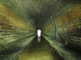 Na konci tunelu je vidět světlo. 