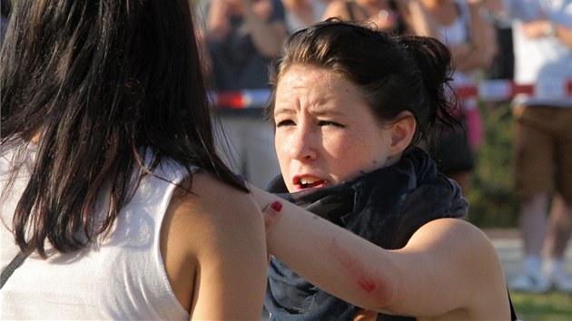 Zrann dvka na demonstraci v eskch Budjovicch (13.7.2013)