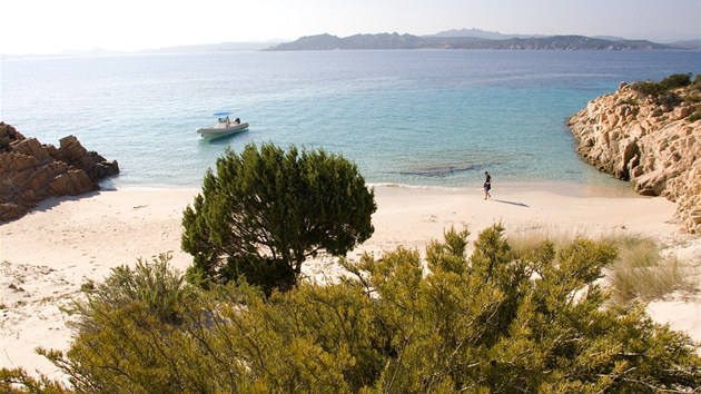 Proslul Rov pl (Spiaggia Rosa) na ostrov Budelli, kter pat k italsk Sardinii.