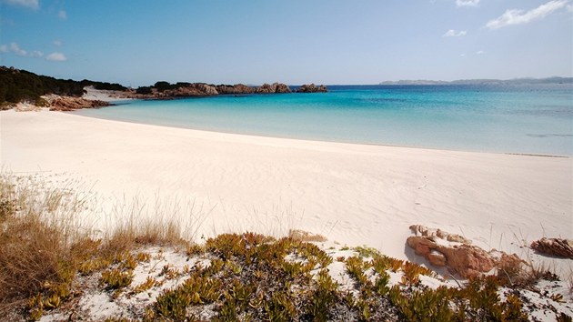 Proslul Rov pl (Spiaggia Rosa) na ostrov Budelli, kter pat k italsk Sardinii.