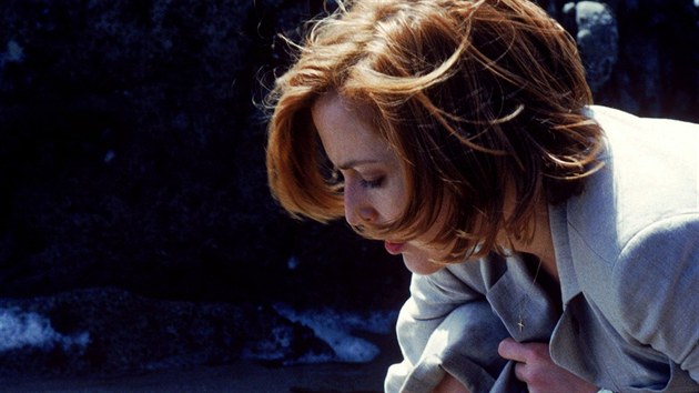 Gillian Andersonová se coby agentka Dana Scullyová objevila naposled ve filmu Akta X: Chci uvěřit.