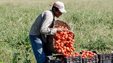 Argentinu v posledních m�sících trápí nedostatek raj�at.
