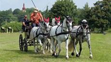 Vozatajové z patnácti zemí za�nou ve �tvrtek sout�it v tradi�ních závodech