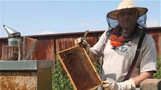 Medu bude letos kv�li �patnému po�así málo. Sezona za m�síc kon�í.