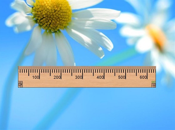 Ruler for Windows