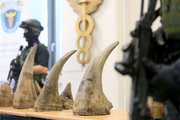 Za pašování nosorožčích rohů udělil pražský soud 15 lidem podmínku