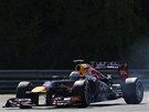 Nmecký pilot Sebastian Vettel se ítí po maarském Hungaroringu za dalími