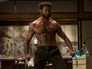 Hugh Jackman ve filmu Wolverine