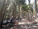 Poár lesa u Hynic, mezi Ruprechtickým piákem a irokým vrchem na Náchodsku