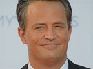 Matthew Perry (2013)