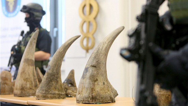 Pslunc celn sprvy zadreli paovan nosoro rohy, kter maj na ernm trhu cenu kolem 100 milion korun. I proto byla na tiskov konferenci ptomna ozbrojen str. (23. ervence 2013)