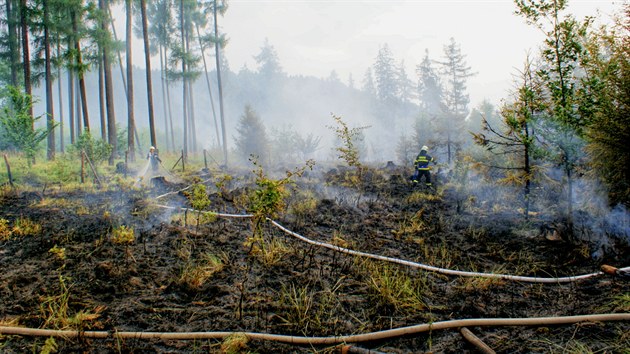 Por hektaru lesa v Tn nad Bevou na Perovsku