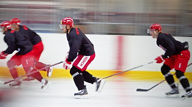 Extraligov hokejist Hradce Krlov poprv vyjeli na led. 