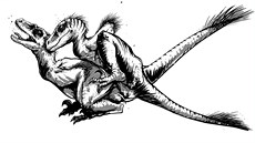 Deinonychus byl agilní dravec, lovící ve skupinách. Na výšku měl cca 1 m a 3 m...