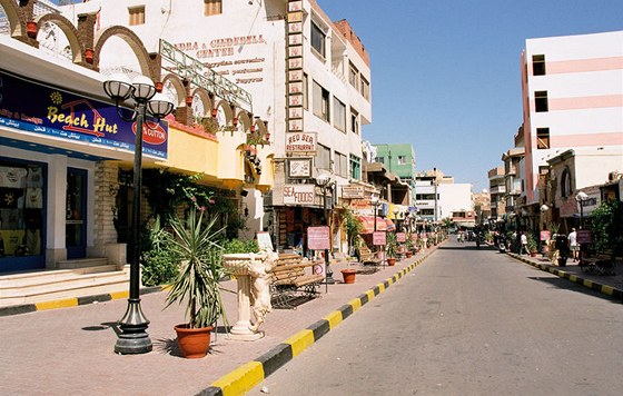 Mrtvé eky trávily léto v turistickém letovisku Hurghada.