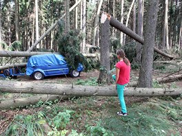 V chatové oblasti Beranovec na Jihlavsku padaly stromy na auta (30.7. 2013)