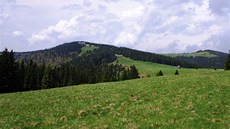 Gorce - nejvyí vrch Turbacz (1 315 m)