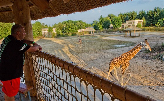 Safarikemp v královédvorské zoo se pyní atmosférou Afriky a inspiraci hledá v afrických národních parcích a zahradách.