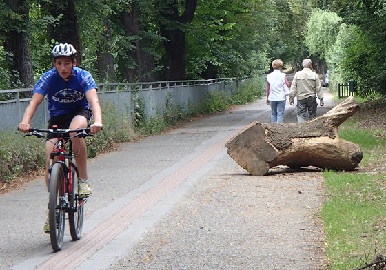 Vyvrácené stromy uzavely cyklostezky.