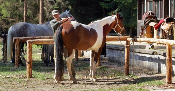 Milovníci koní si mohou ve Svatokách zajezdit na pravém indiánském plemeni appaloosa.