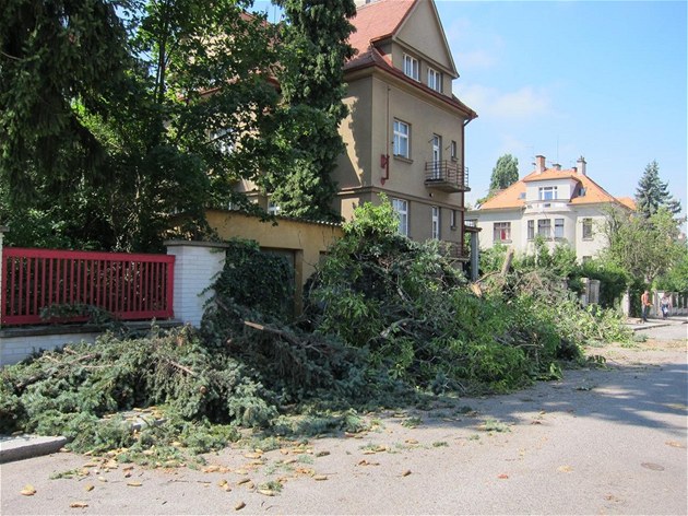 Na území esté mstské ásti napáchala bouka nemalé kody.